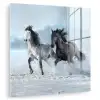 Paarden - Winter - Dieren - Natuur - Sneeuw plexiglas 5mm klein -zzzproduct_nieuw