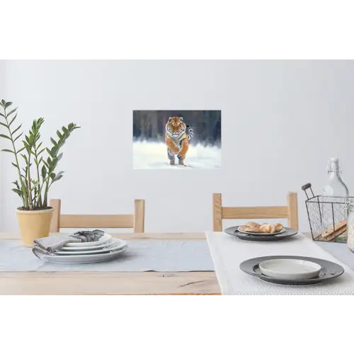 Tijger - Landschap - Sneeuw - Winter - Dieren Muursticker klein -eettafel
