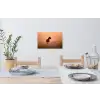 Paard - Grasveld - Zonsondergang Muursticker klein -eettafel