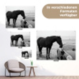 Paard - Auto - Zwart - Wit tuinposter los doek klein -Xsfeer9_DE