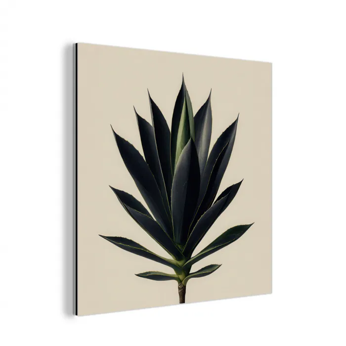 Agaveplant - Symmetrisch - Groen aluminium wit klein -3d
