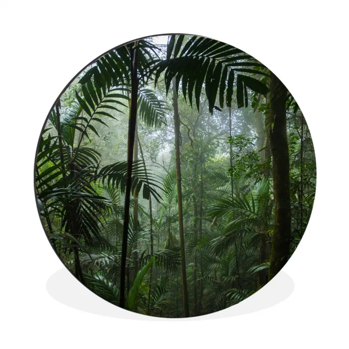 Regenwoud - Tropisch - Jungle - Bomen - Planten Wandcirkel aluminium klein -3d