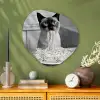 Kat - Siamees - Zwart Wit - Schattig - Dieren Wandcirkel Organisch Plexiglas middel -sfeer2