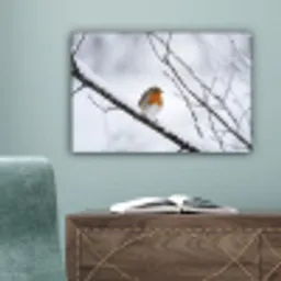 Roodborstje - Tak - Sneeuw - Winter - Levendig canvas 2cm klein -sfeer4