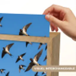 Zwaluwen - Vliegen - Blauw Light Box met kabel (Kinderlampje) klein -USP_websiteprintFR