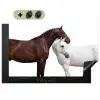 Paard - Modern - Balans Inductie beschemer met haakjes klein -3d