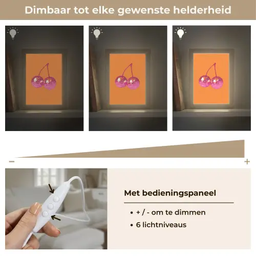 Discoballen - Kers - Spiegels - Roze Light Box met kabel (Tafellamp) klein -USP_dimbaarNL