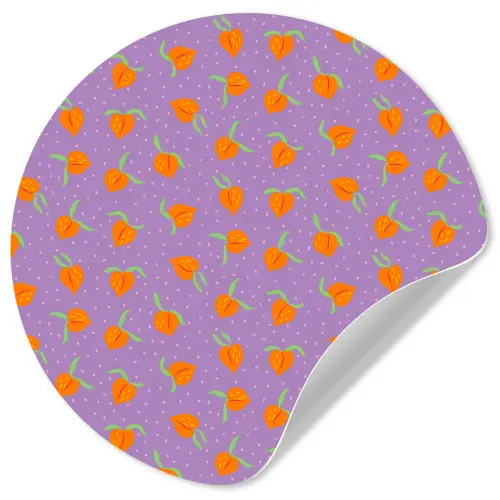 Paars - Oranje - Perzik Wandcirkel behangsticker klein 186 -3d