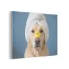 Hond - Badeend - Geel PET vilt klein -3d