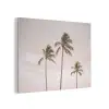 Palmbomen - Zonsondergang - Roze PET vilt klein -3d
