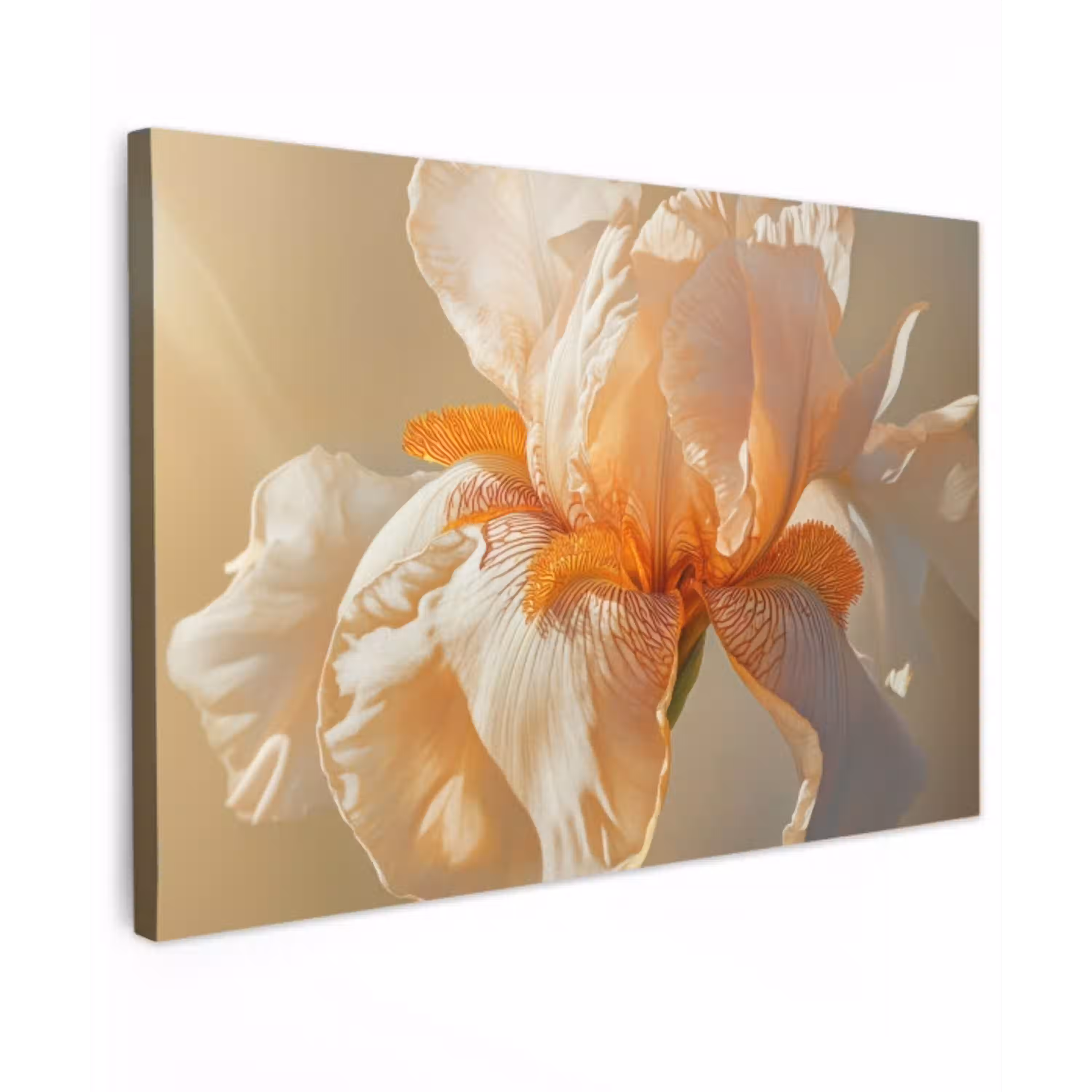 Close up - Oranje - Iris canvas 2cm klein -z3d