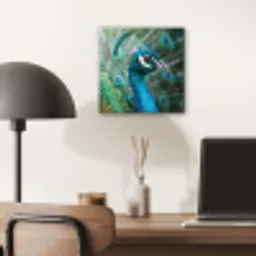 Pauw - Veren - Blauw aluminium wit klein -sfeer5