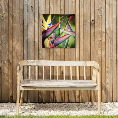 Kleurrijke vogel tussen allemaal kleurrijke platen Tuinposter op houten frame 2 cm dik klein -sfeer4
