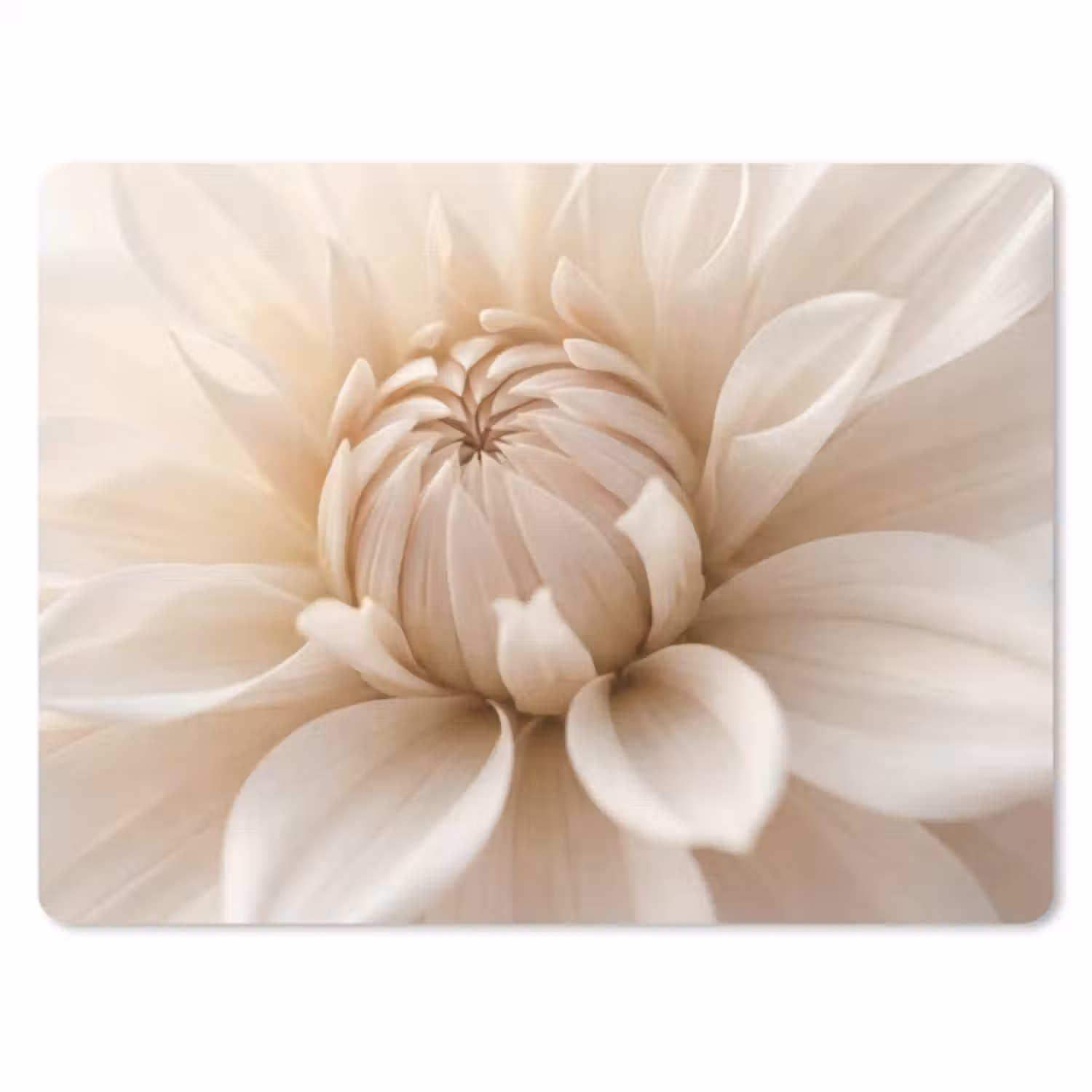 Muismat - Bloem - Dahlia - Wit