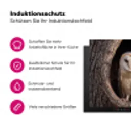 Kerkuil - Boom - Natuur - Bruin Inductie beschermer vinyl 3mm klein -zzzzzzz-lf-ups