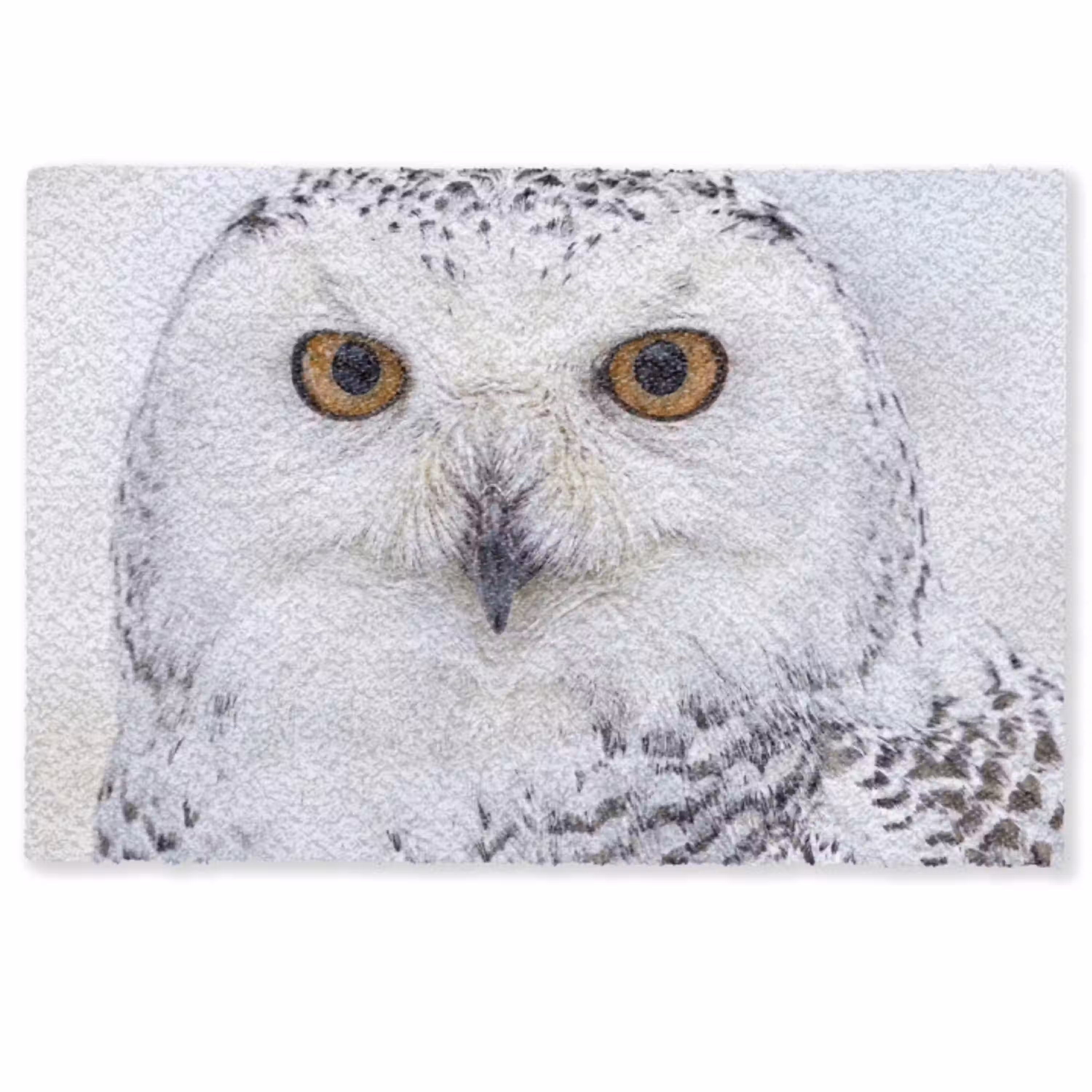 Sneeuwuil - Oog - Wildlife - Wit Deurmat klein -zkaufland3d
