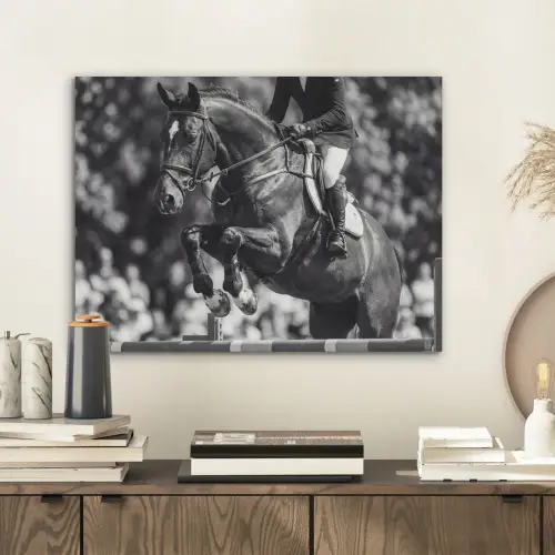 Springen - Paard - Zwart - Wit PET vilt klein -sfeer1