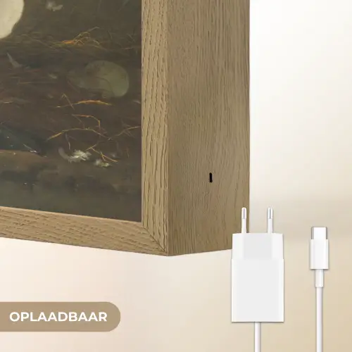 Zwaan - Oude meesters - Jan Asselijn Light Box met batterij (Wandlamp) middel -USP_websiteoplaadbaarNL