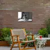 Konijn - Bunny - Zonnebril - Tafelkleed - Pasta - Schattig Tuinposter op houten frame 2 cm dik klein -sfeer3