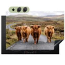 Schotse Hooglanders - Weg - Landschap - Kudde Inductie beschemer met haakjes klein -3d