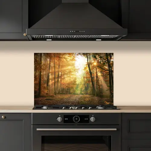 Bos - Herfst - Zon - Landschap - Natuur - Bomen - Bladeren keuken achterwand spatscherm klein -sfeer1