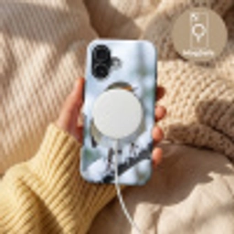 Roodborstje - Tak - Sneeuw - Winter - Levendig Toughcase MagSafe Apple iPhone 17 klein -USP_MagsafeV