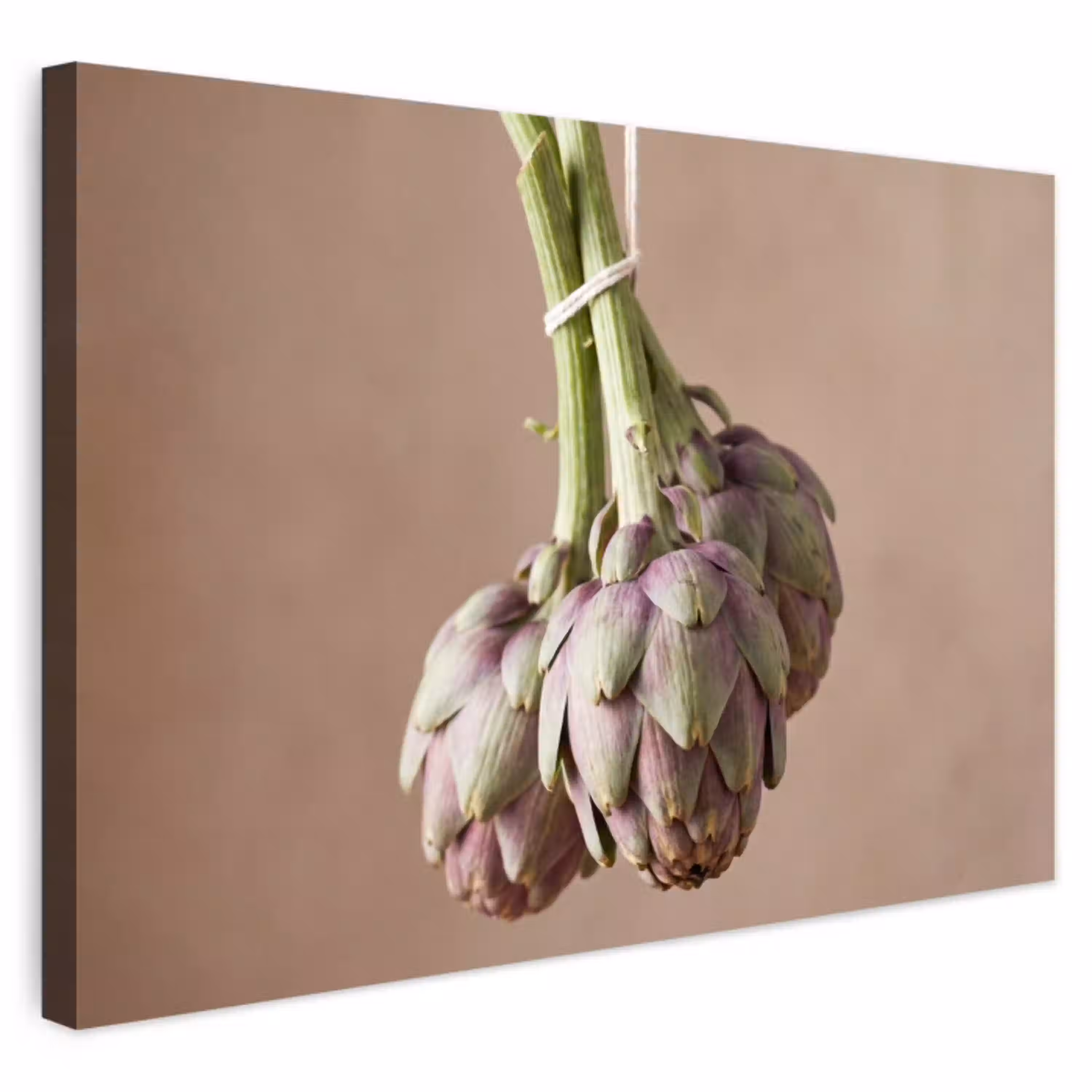 Artisjokken - Hangend - Groenten Tuinposter op houten frame 2 cm dik klein -3d