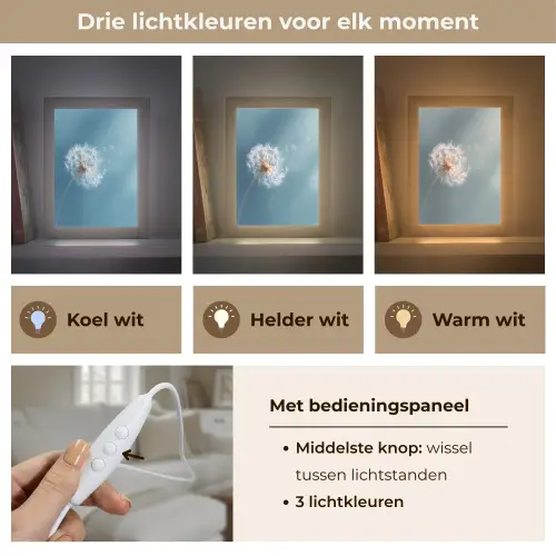 Paardenbloem - Wind - Blauw Light Box met kabel (Tafellamp) klein -USP_lichtkleurNL