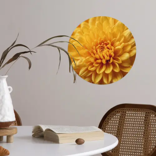 Geel - Chrysant - Zachtheid Wandcirkel behangsticker klein -sfeer3