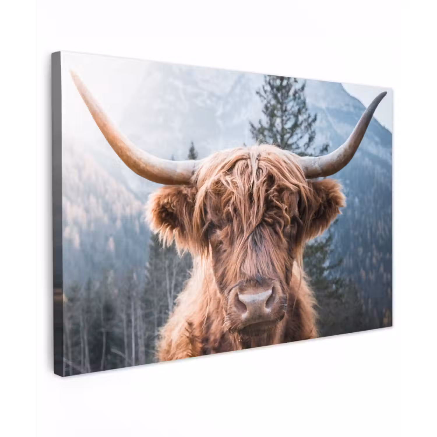 Canvas schilderij - Schotse hooglander - Bergen - Portret