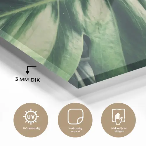 Bladeren - Tropisch - Jungle plexiglas 5mm klein -sfeer2