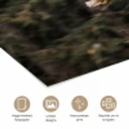 Zeearend - Vliegen - Bos - Natuur poster papier klein -closeup_NL