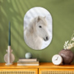 Paard - Kop - Winter - Dieren - Wit Wandcirkel Ovaal Forex klein -sfeer2