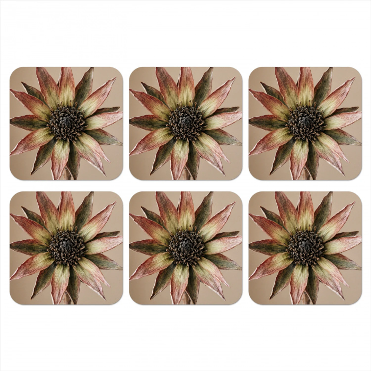 Droogbloem - Protea - Vintage - Beige - Rustiek onderzetter kurk middel -3d