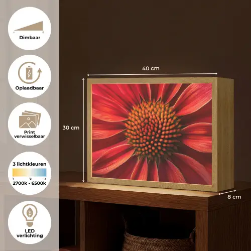 Close up - Bloem- Rood Light Box met batterij (Wandlamp) middel -USP_websiteoverzichtNL