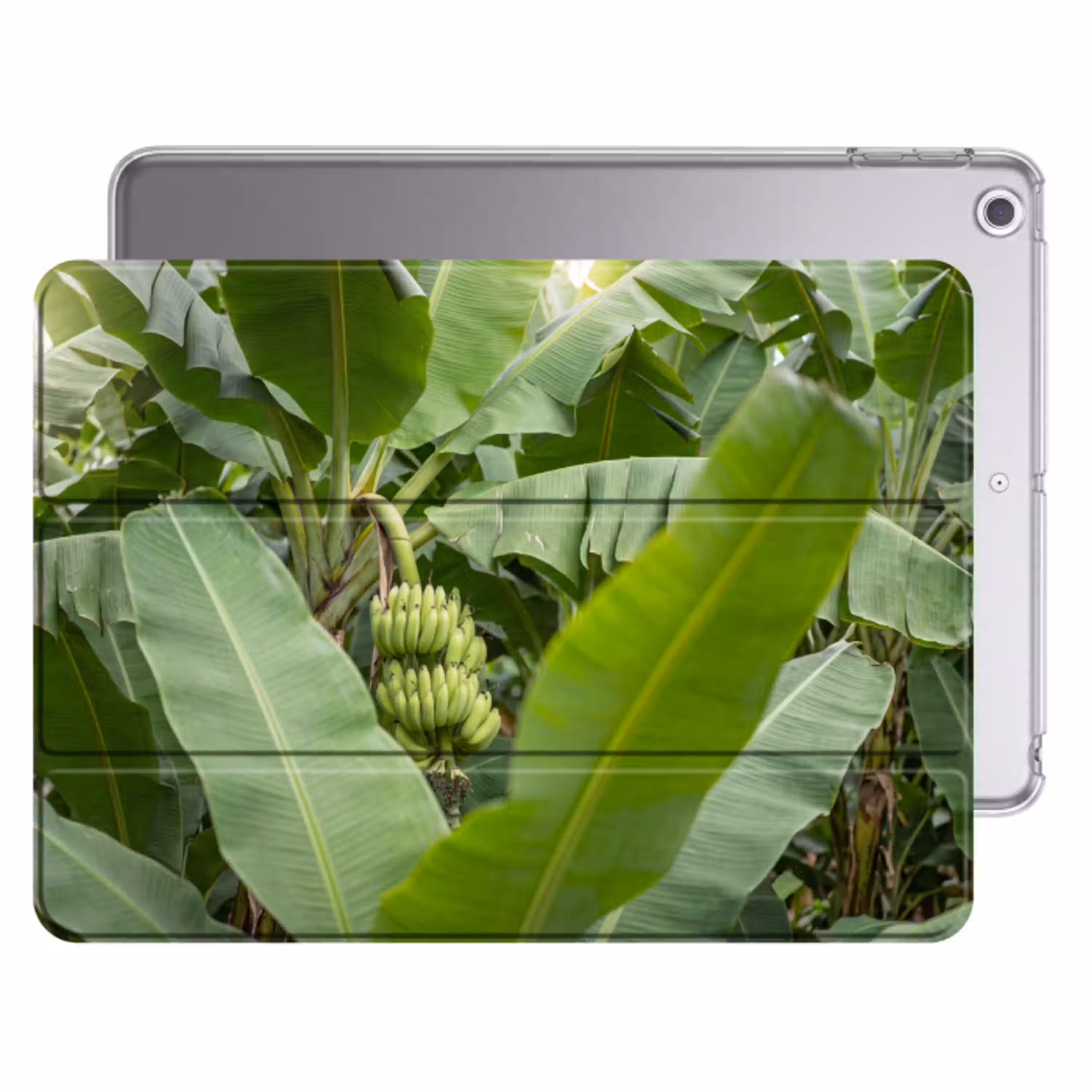 Eten - Bananen - Plantage - Groen Apple iPad 2017 middel -threedimensional_3d_global