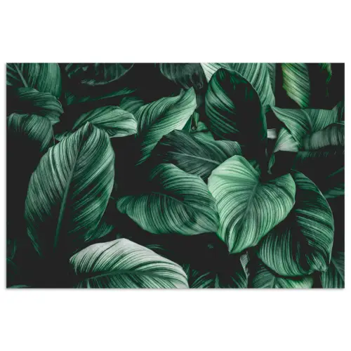Jungle - Bladeren - Tropisch - Planten - Natuur poster papier klein -3d