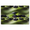 Bramen - Bladeren - Tros Placemat vinyl groot 368 -zzsfeer1_Kitchenyeah-website