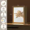 Graan - Geel - Wit - Natuur - Stilleven Light Box met kabel (Tafellamp) klein -USP_NL