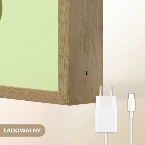 Kikker - Groen - Vriendelijkheid Light Box met batterij (Wandlamp kind) middel -USP_websiteoplaadbaarNL