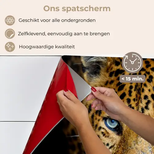 Luipaard - Dieren - Portret - Wilde dieren - Zwart keuken achterwand spatscherm klein -spatscherm_NL