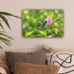 Kolibrie - Bloem - Natuur - Groen canvas 2cm klein -sfeer1