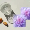 Paars - Dahlia - Dromerig onderzetter kurk middel -sfeer4