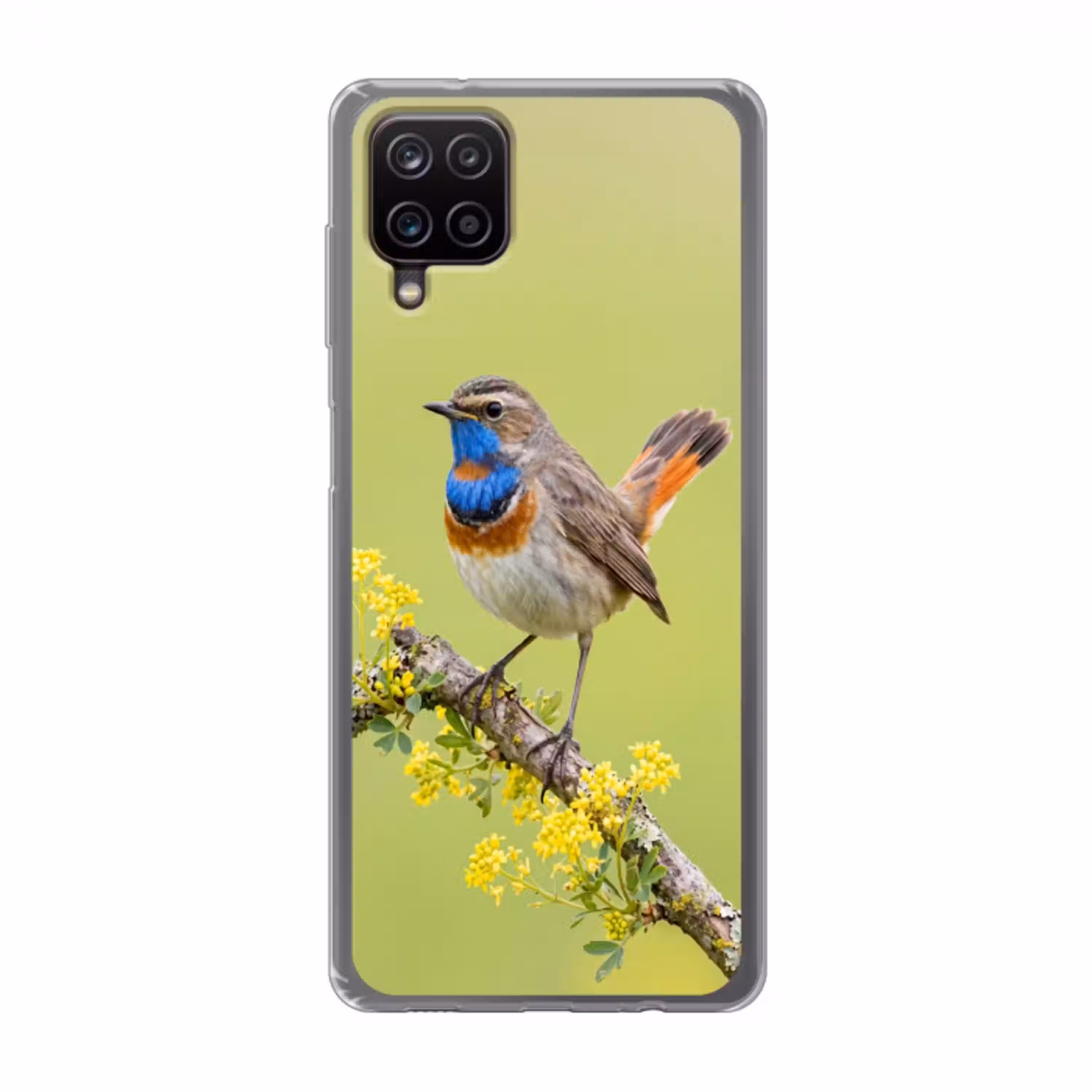 Vogel - Tak - Natuur - Kleurrijk Telefoonhoesje Samsung Galaxy A12 klein -3d