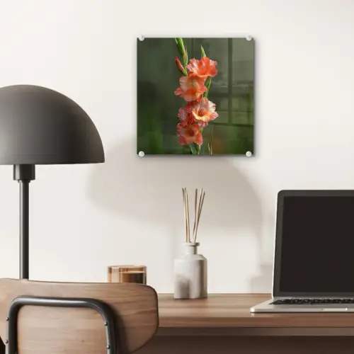 Bloem - Gladiolen - Zalmroze plexiglas 5mm klein -sfeer6