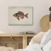 Schubben - Rood - Vis - Vinnen PET vilt klein -sfeer3