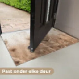 Schermbloem - Droogbloem - Winter - Beige - Minimalistisch Deurmat klein -USP_NL