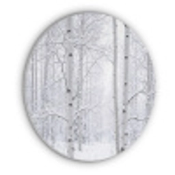 Berkenbomen - Sneeuw - Winter - Bos - Wit Akoestische PET Vilt - Rond klein -3d