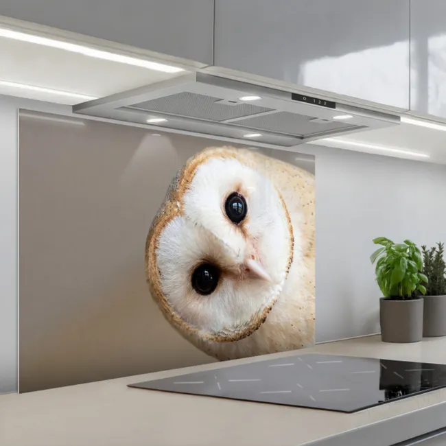 Spatscherm keuken - Uil - Bruin - Wit