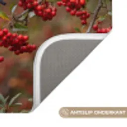 Goudvink - Bessen - Herfst - Natuur - Kleurrijk Badmat klein -USP_AntislipNL